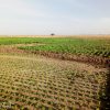 Terres Agricoles (5 hectares)